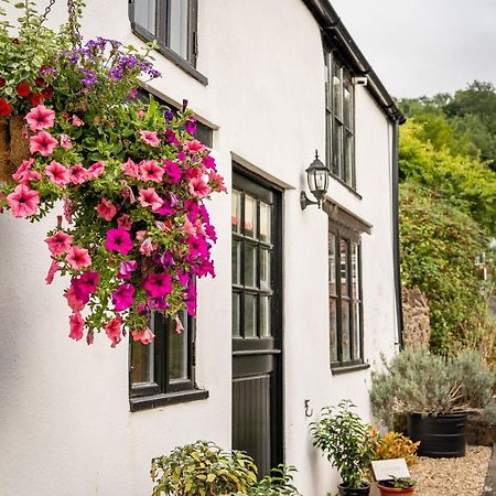 Woodview - Cosy 1840S Cottage In Chew Valley And Mendip Aonb Compton Martin Exterior photo