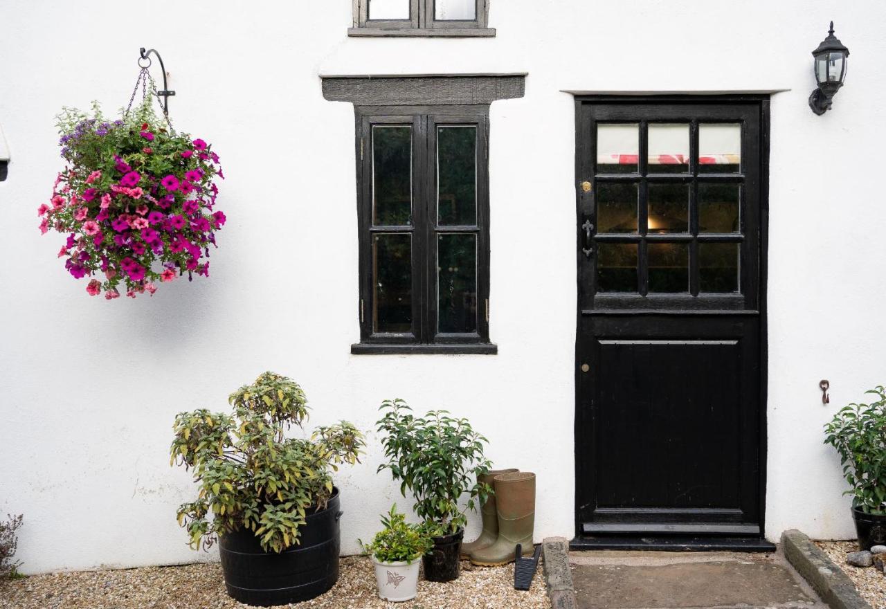 Woodview - Cosy 1840S Cottage In Chew Valley And Mendip Aonb Compton Martin Exterior photo