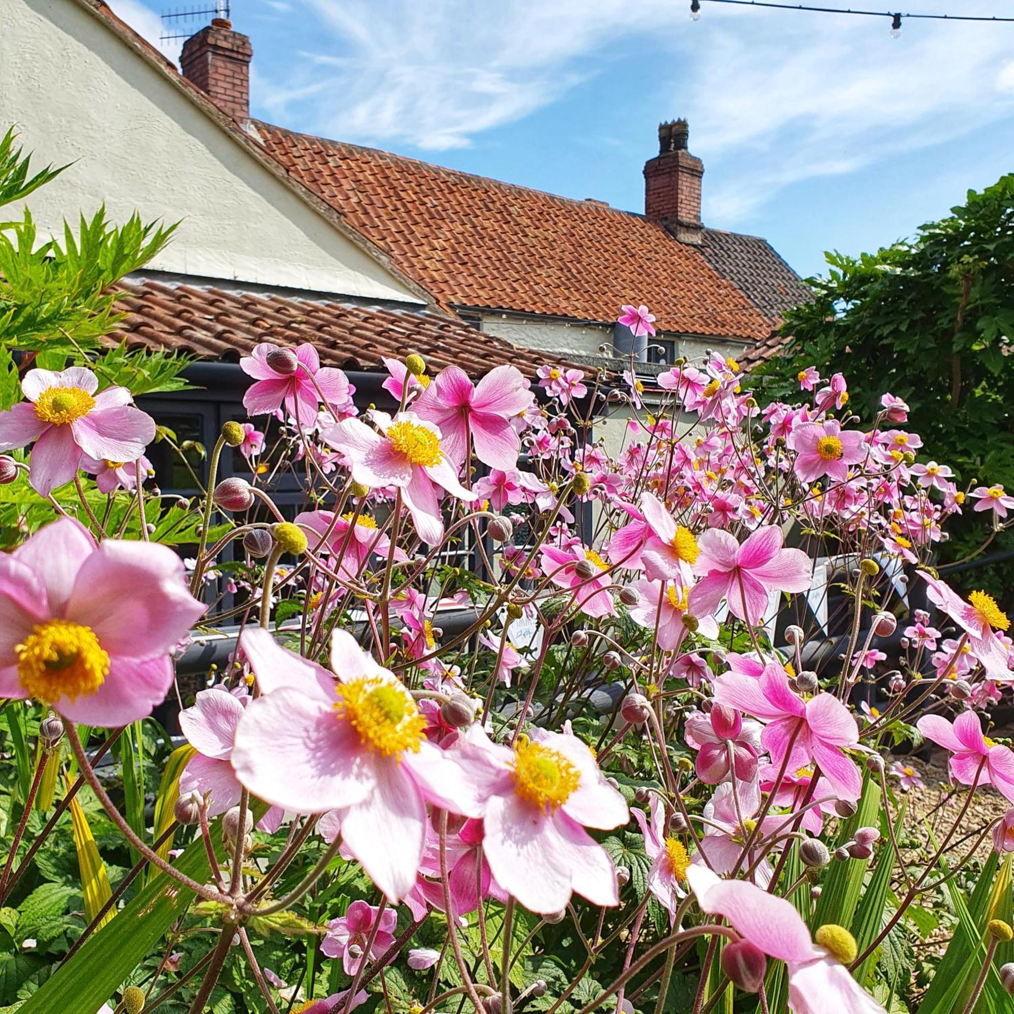 Woodview - Cosy 1840S Cottage In Chew Valley And Mendip Aonb Compton Martin Exterior photo